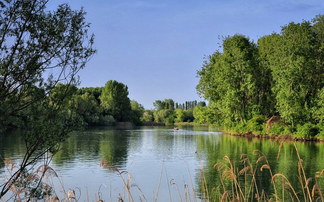 MAGICHE ESCURSIONI LUNGO IL FIUME SILE